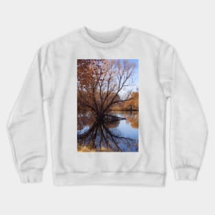 Looking Glass Crewneck Sweatshirt